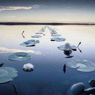 Vivre avec la N&eacute;vralgie Pudendale et  sympt&ocirc;mes associ&eacute;s